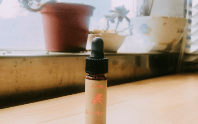 抗發炎+修復 完美抗痘破迷思